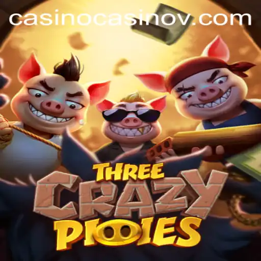 Exploring the Whimsical World of ThreeCrazyPiggies